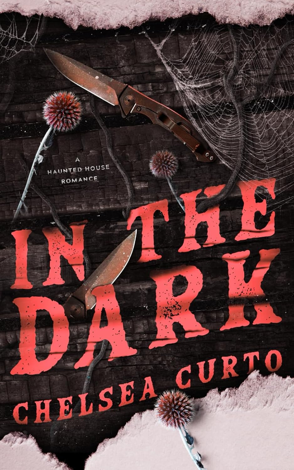 In the Dark by Chelsea Curto