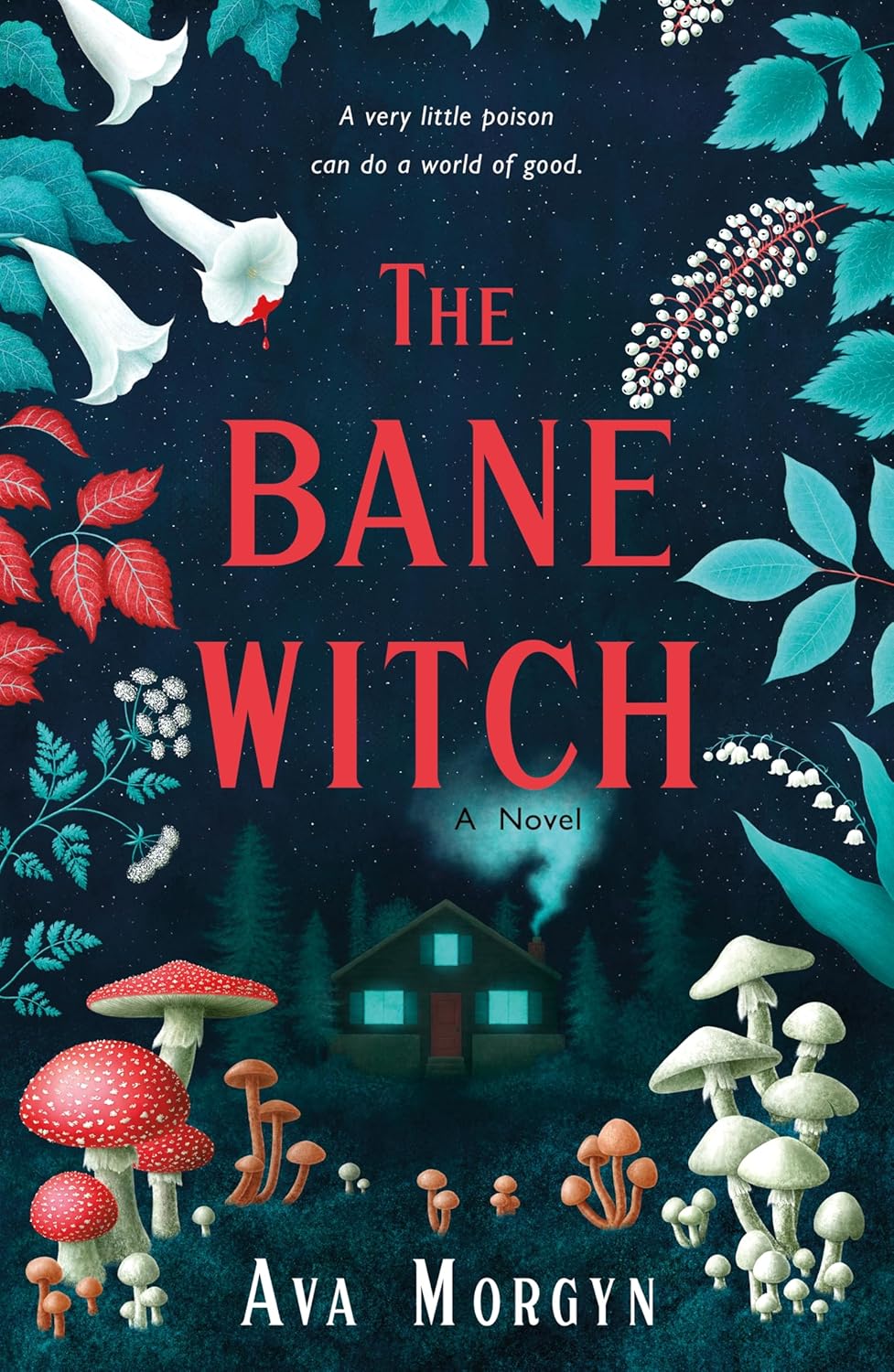 THE BANE WITCH by AVA MORGYN