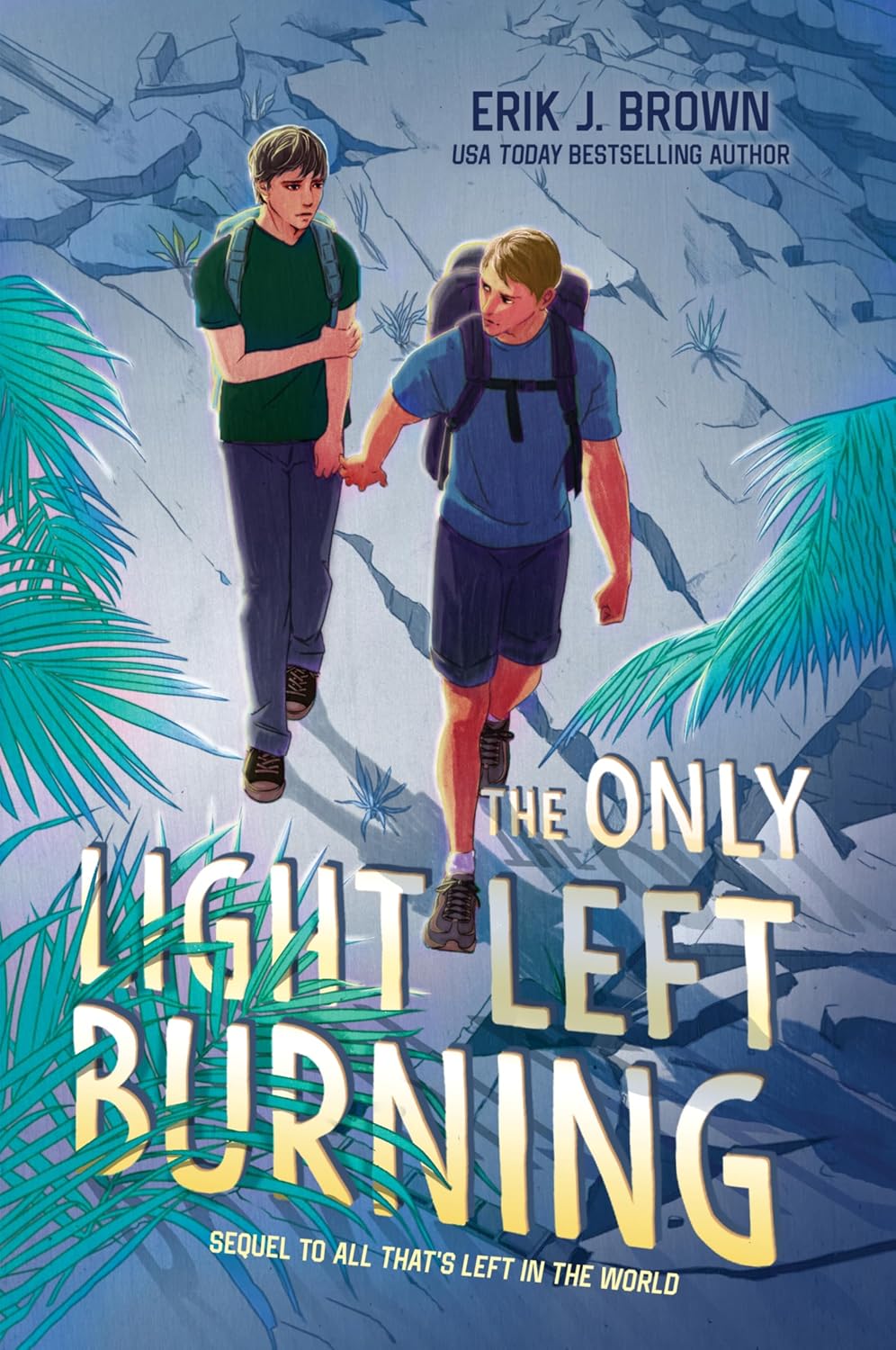 The Only Light Left Burning by Erik J. Brown