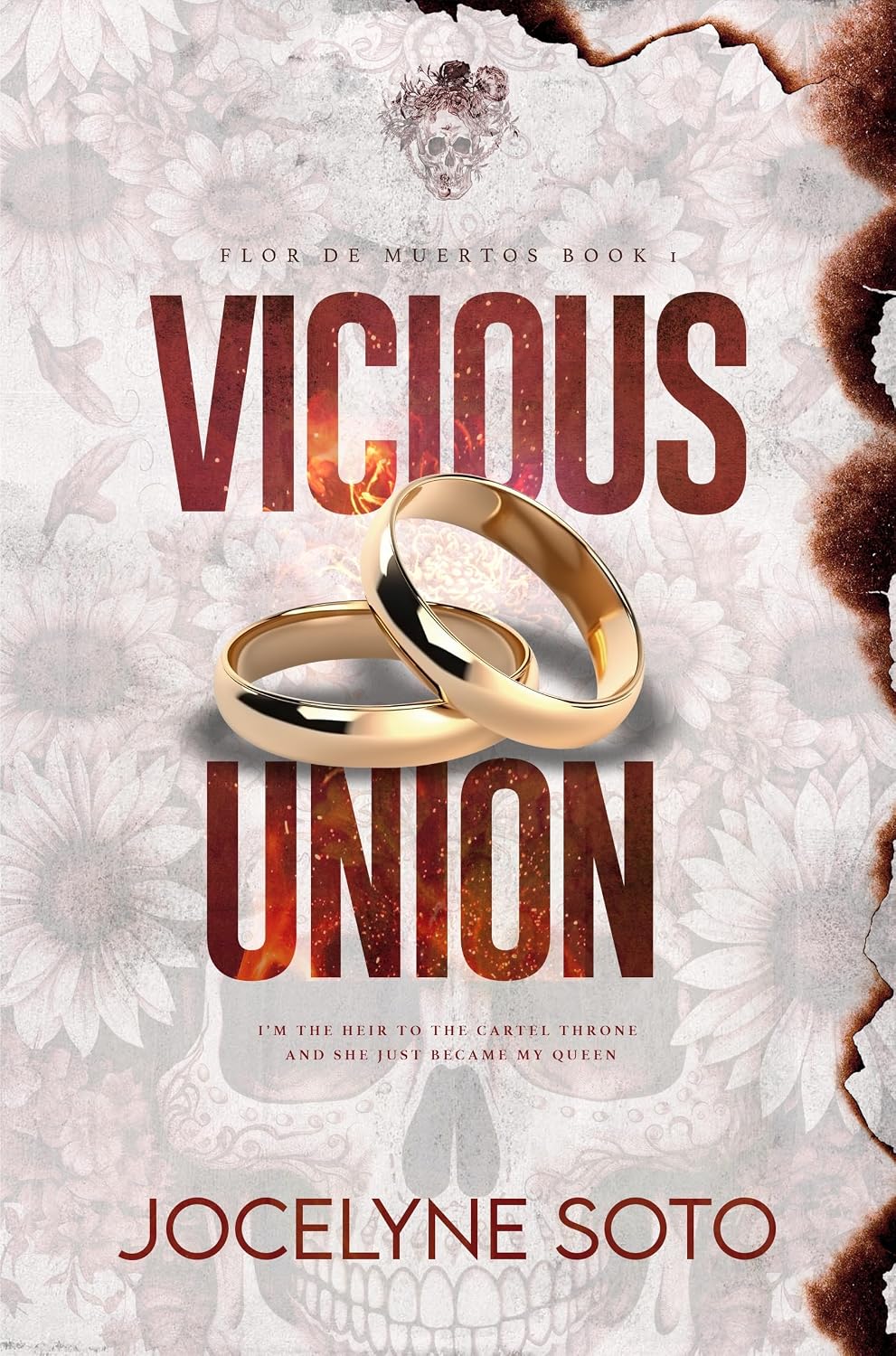 *Vicious Union (Anniversary Edition) by Jocelyn Soto