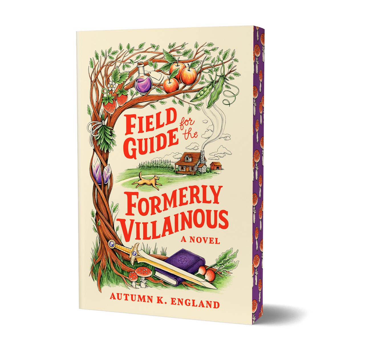 Field Guide for the Formerly Villainous by Autumn K. England