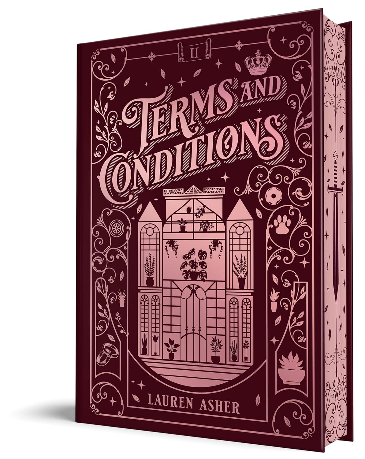 TERMS AND CONDITIONS by LAUREN ASHER