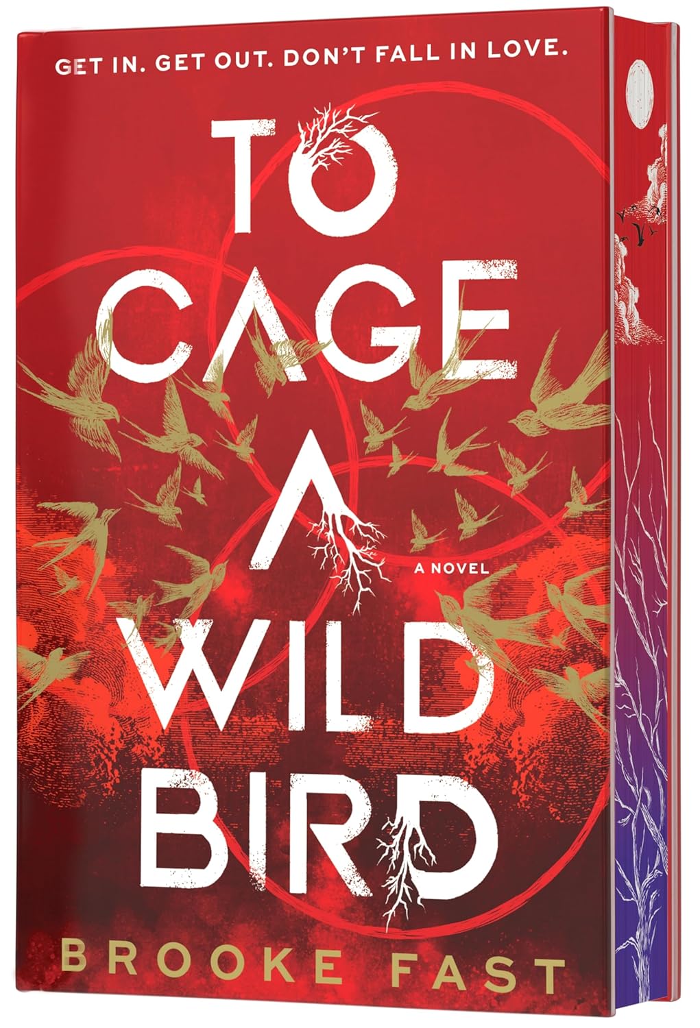 TO CAGE A WILD BIRD by BROOKE FAST