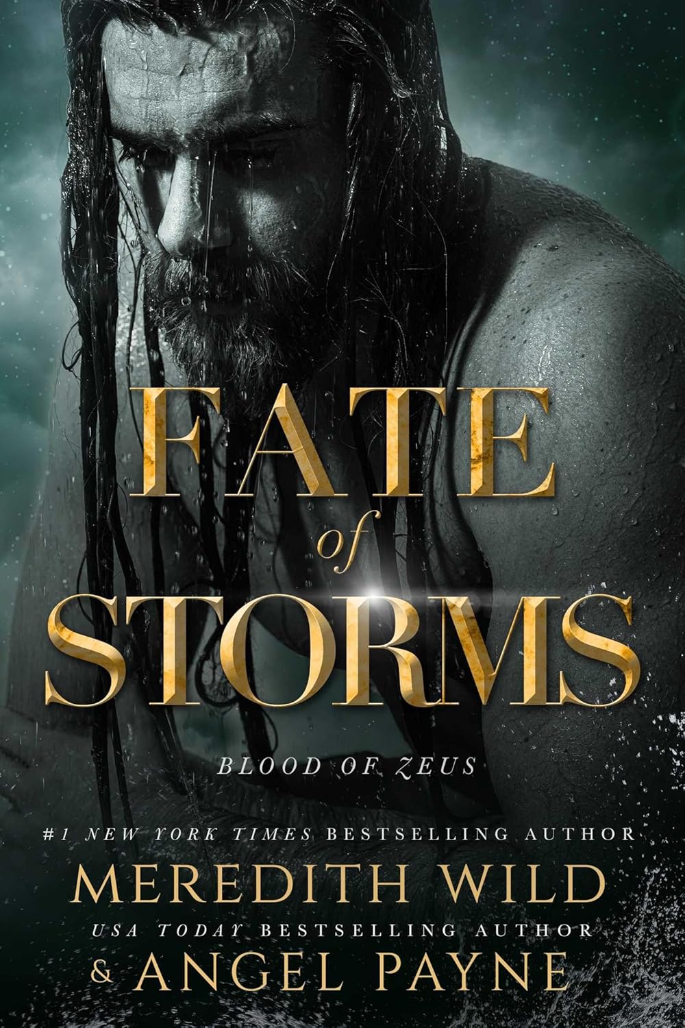FATE OF STORMS by MEREDITH WILD & ANGEL PAYNE