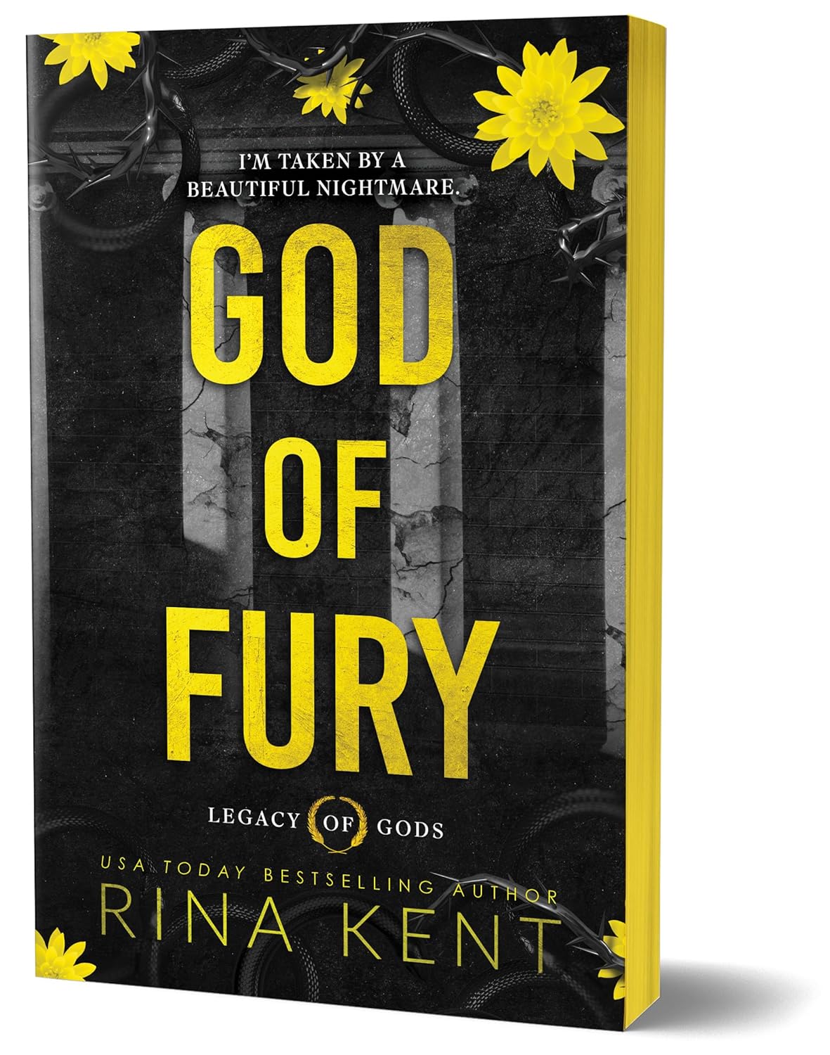 GOD OF FURY by RINA KENT