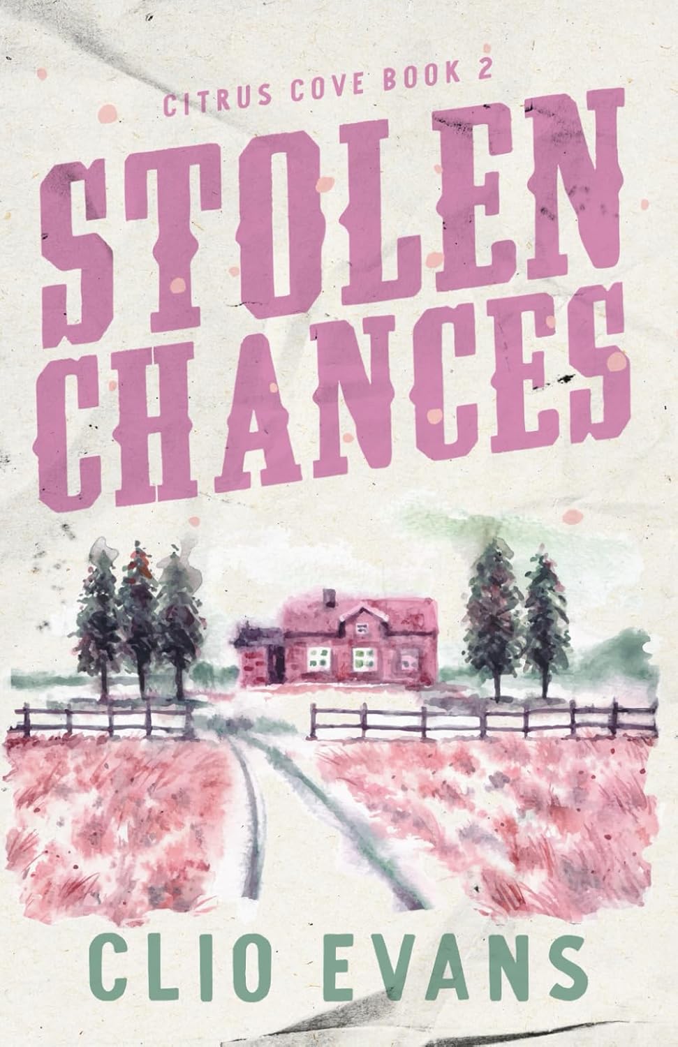 STOLEN CHANCES by CLIO EVANS