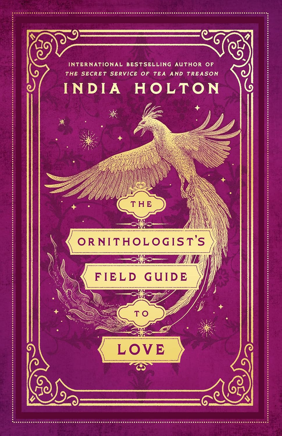 THE ORNITHOLOGIST'S FIELD GUIDE TO LOVE by INDIA HOLTON
