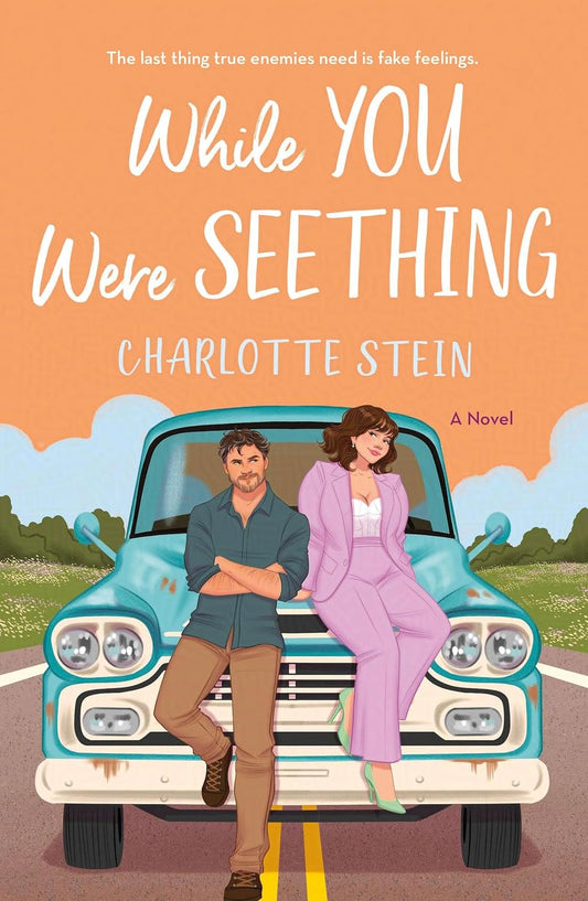 WHILE YOU WERE SEETHING by CHARLOTTE STEIN