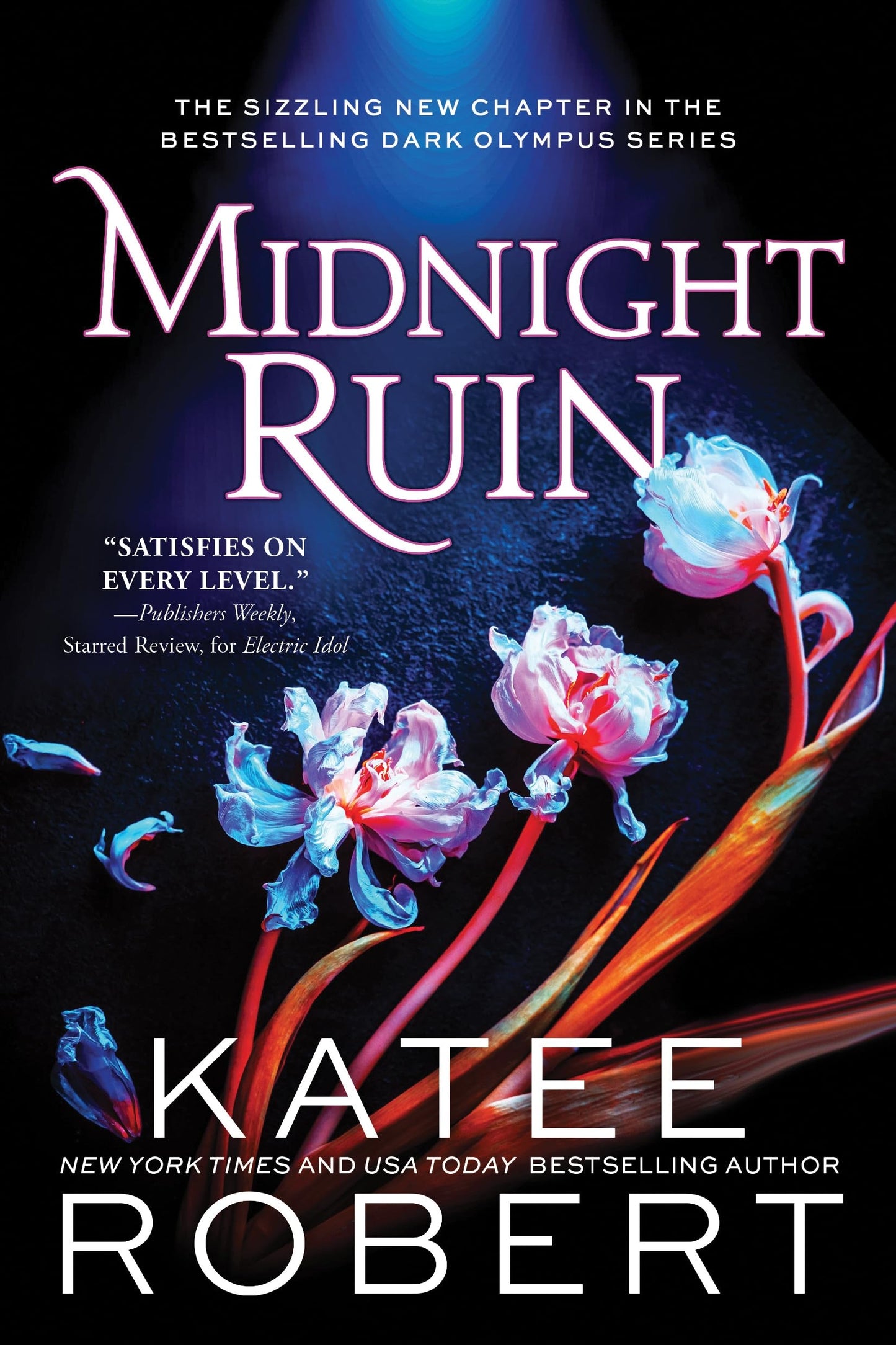 MIDNIGHT RUIN by KATEE ROBERT