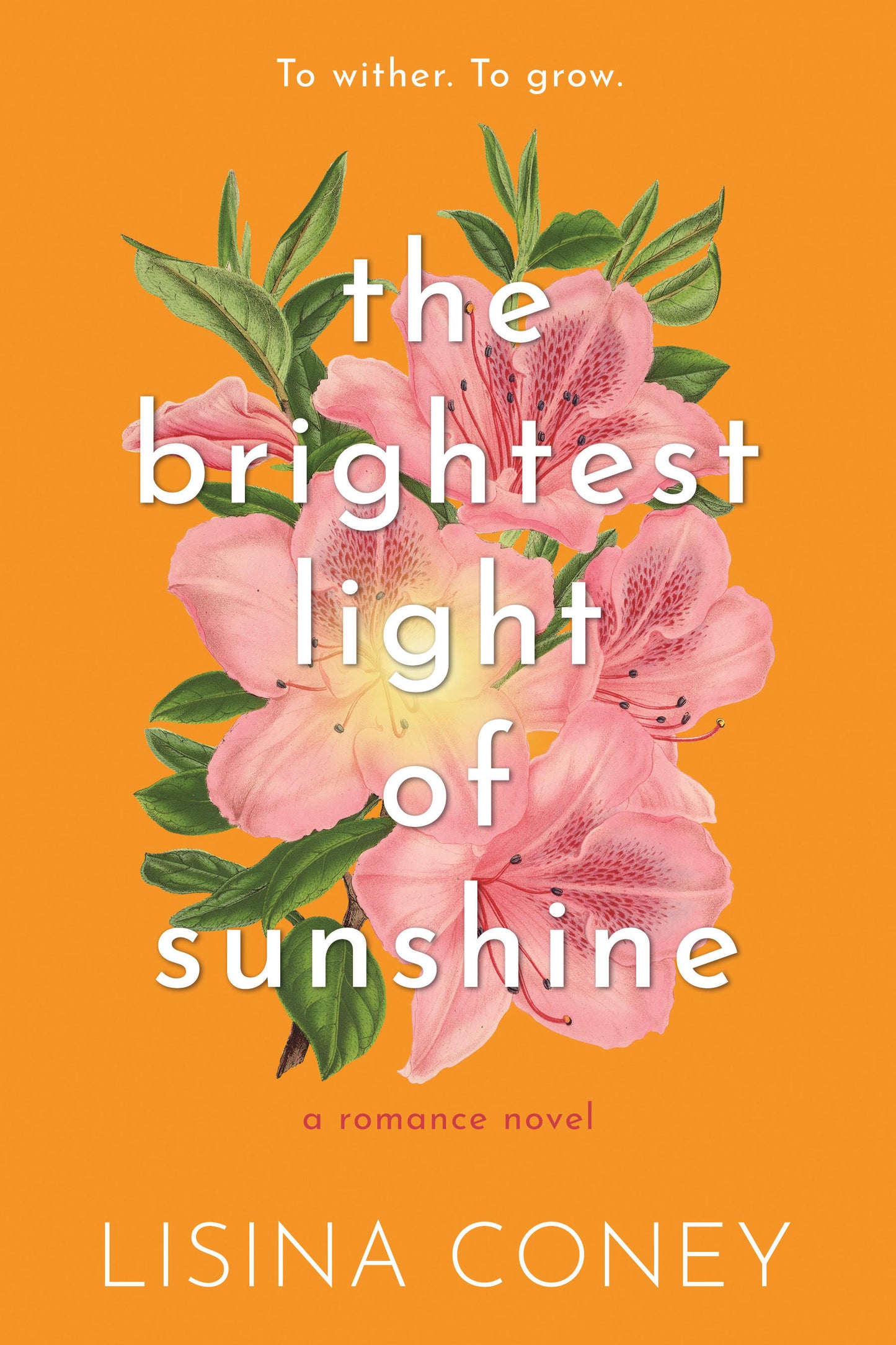 THE BRIGHTEST LIGHT OF SUNSHINE by LISINA CONEY