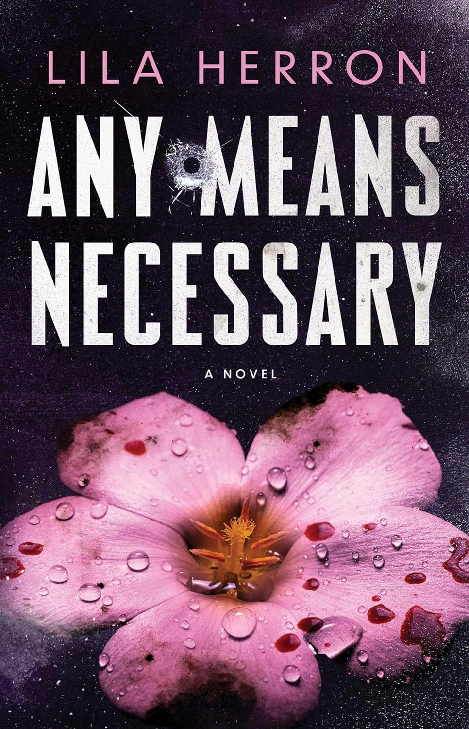 ANY MEANS NECESSARY by LILA HERRON
