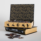 Night in the Archives Keepsake Puzzle | Fourth Wing