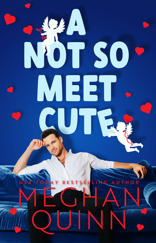 A NOT SO MEET CUTE by MEGHAN QUINN