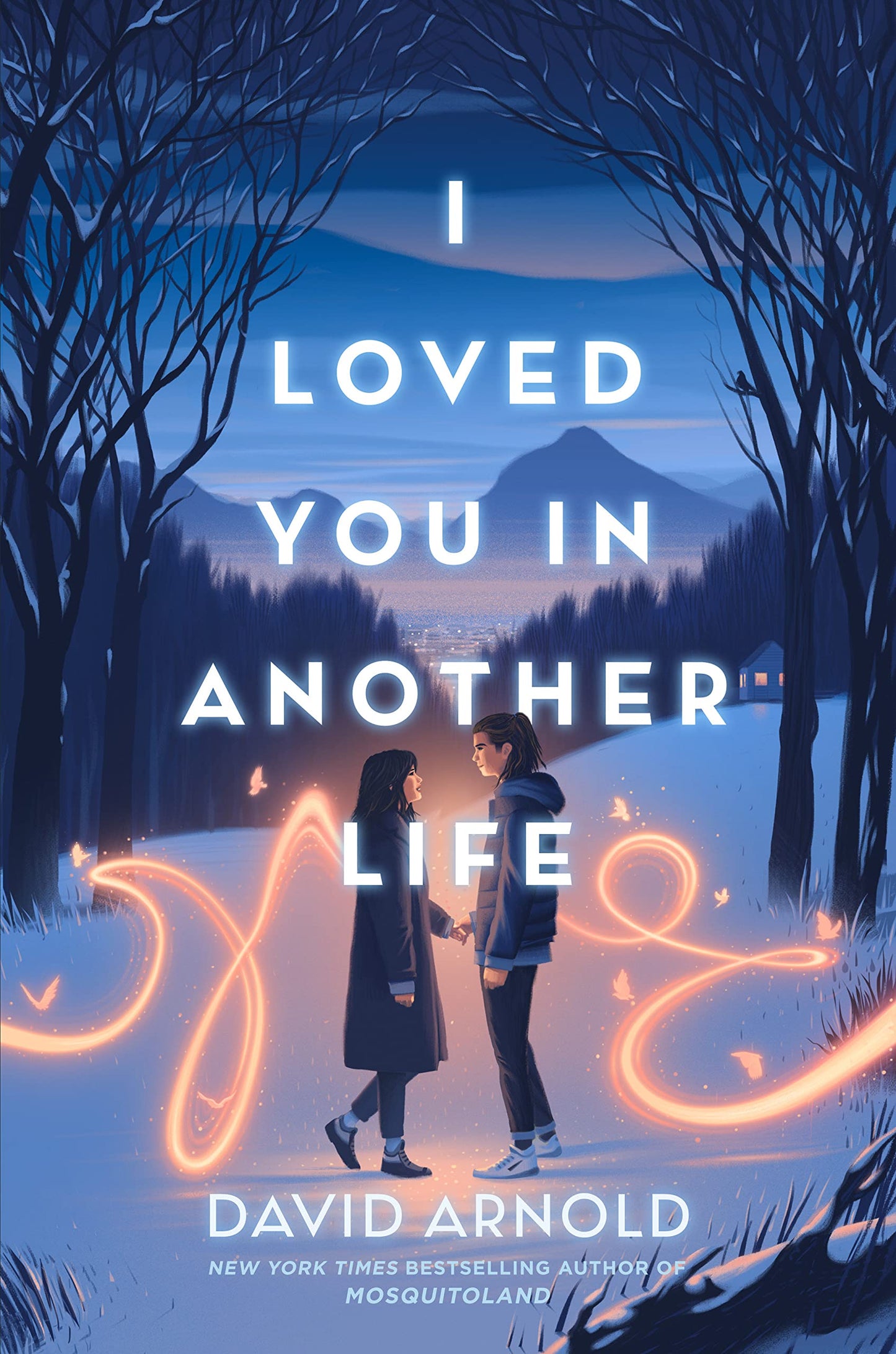 I LOVE YOU IN ANOTHER LIFE by DAVID ARNOLD