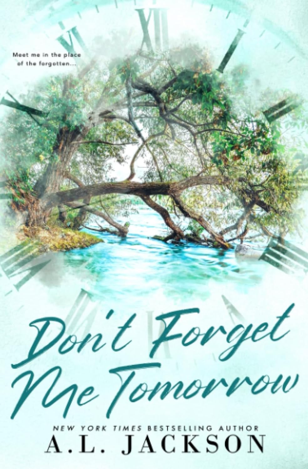 DON'T FORGET ME TOMORROW by A.L. JACKSON