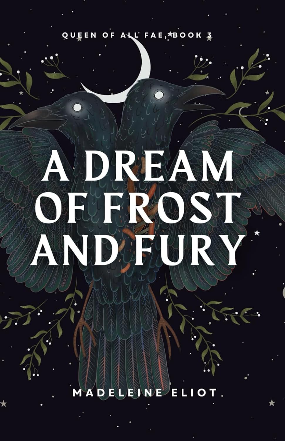 A DREAM OF FROST AND FURY by MADELEINE ELIOT