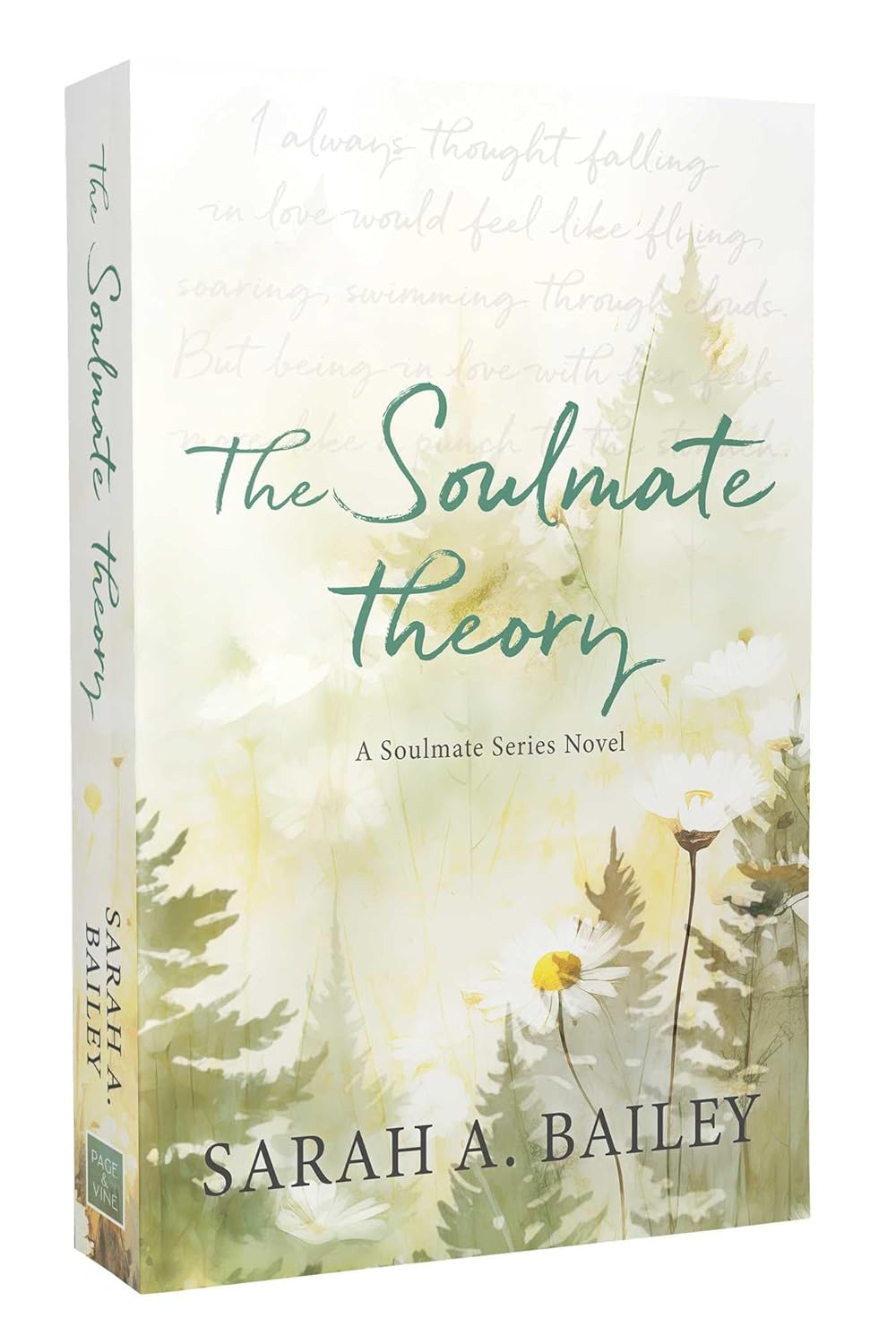 THE SOULMATE THEORY by SARAH A. BAILEY