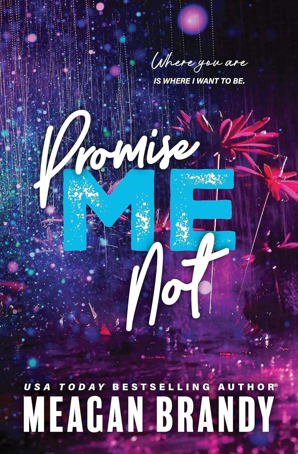 PROMISE ME NOT by MEAGAN BRANDY