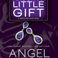 NAUGHTY LITTLE GIFT by ANGEL PAYNE