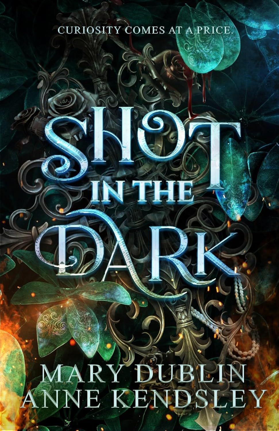 Shot in the Dark by Mary Dublin and Anne Kendsley