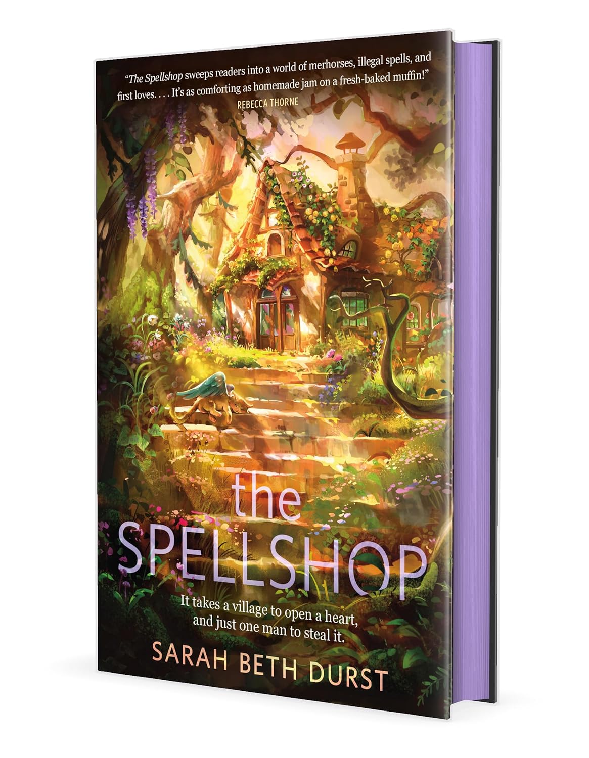 THE SPELLSHOP by SARAH BETH DURST