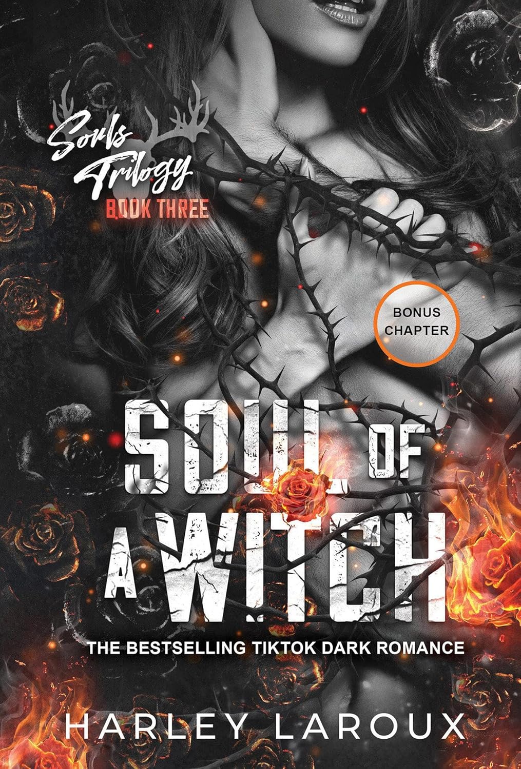 SOUL OF A WITCH by HARLEY LAROUX