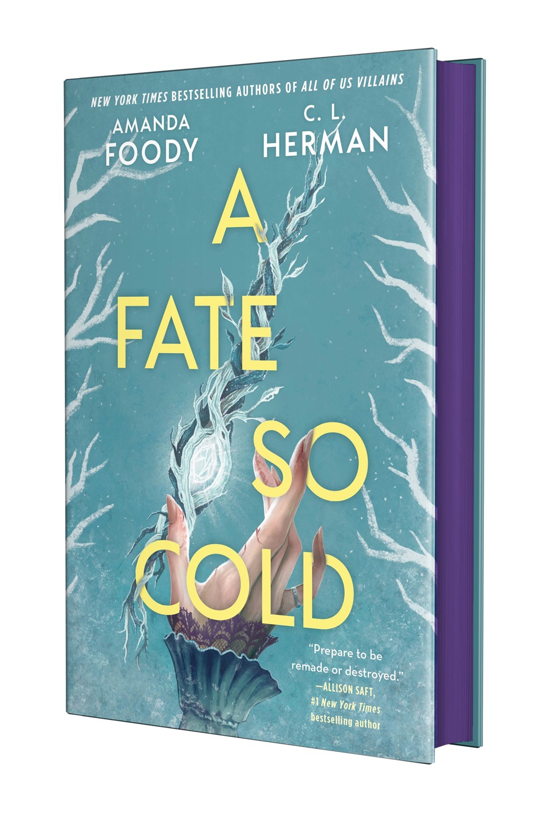 A Fate So Cold by Amanda Foody