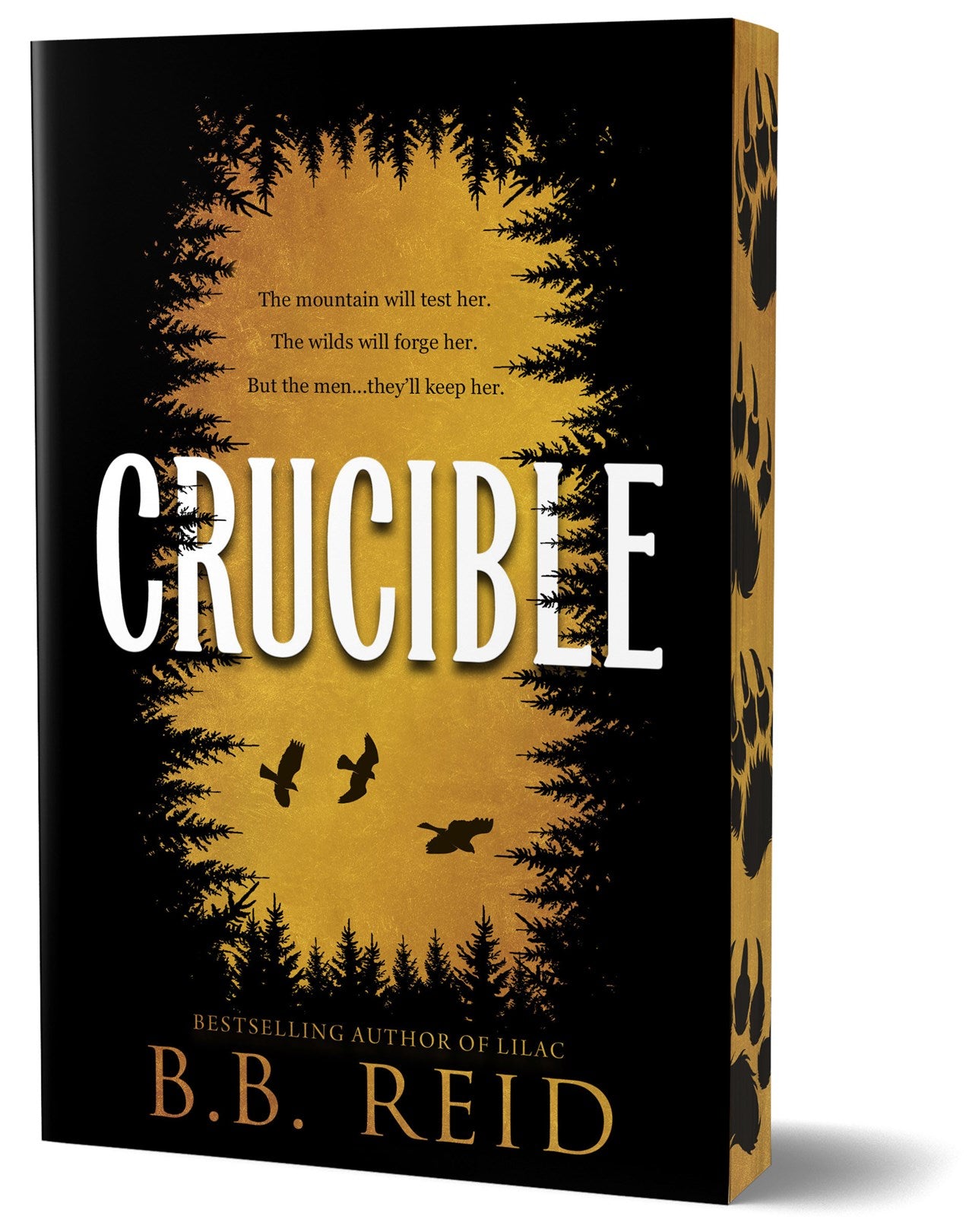 Crucible (Deluxe Edition) by B.B. Reid
