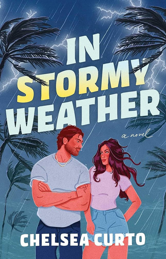 In Stormy Weather: A Novel cover image