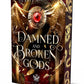 Damned and Broken Gods by Debbie Cassidy