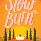 THE SLOW BURN by ALI ROSEN
