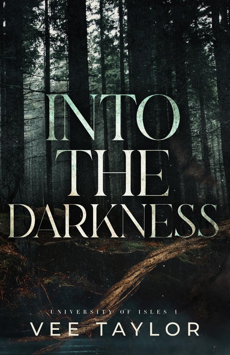 INTO THE DARKNESS by VEE TAYLOR